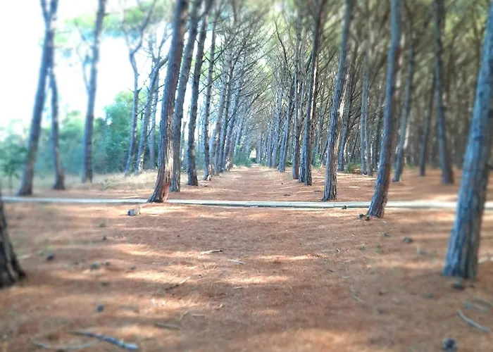 Apartamento Club Luxury Pizzo (Calabria)