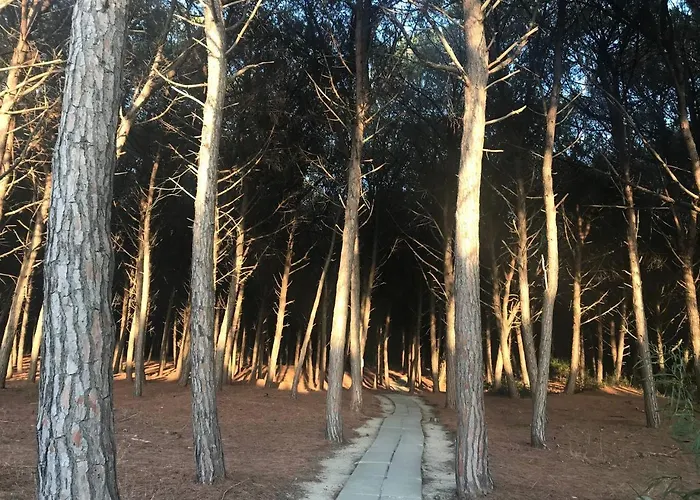 Apartamento Club Luxury *