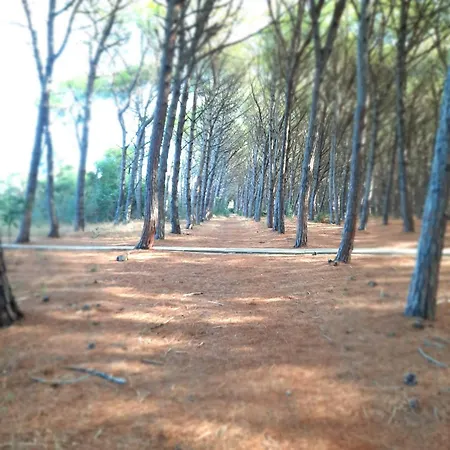 Lägenhet Club Luxury Pizzo (Calabria)