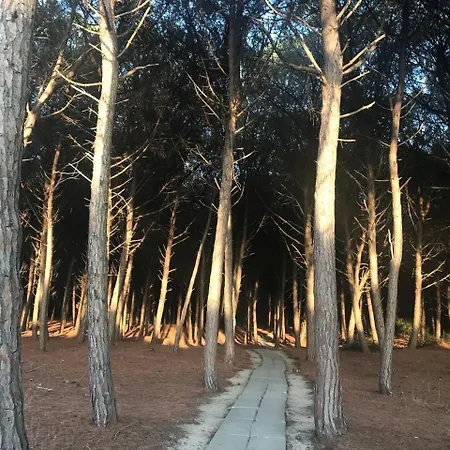 Lägenhet Club Luxury *