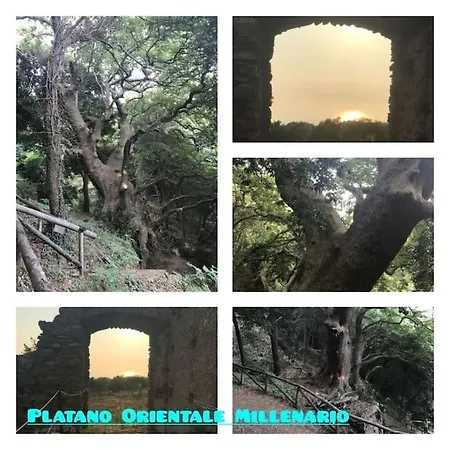 Lägenhet Club Luxury *