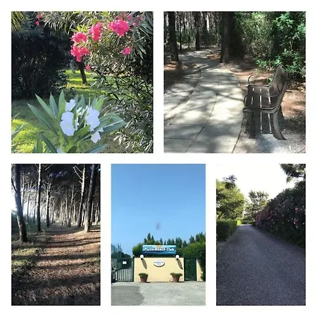 Club Luxury * Pizzo (Calabria)